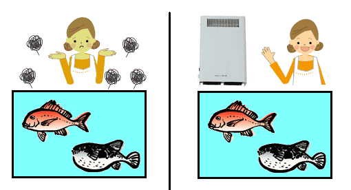 Menghilangkan bau ikan di tangki ikan